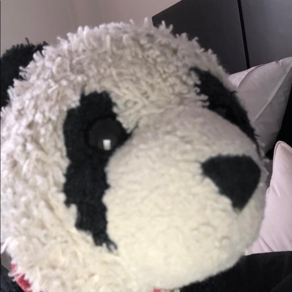 Meet your Posher, Neil - Picture 1 of 1